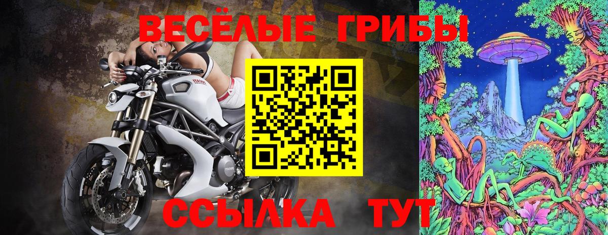 Галлюциногенные грибы GOLDEN TEACHER Вологда